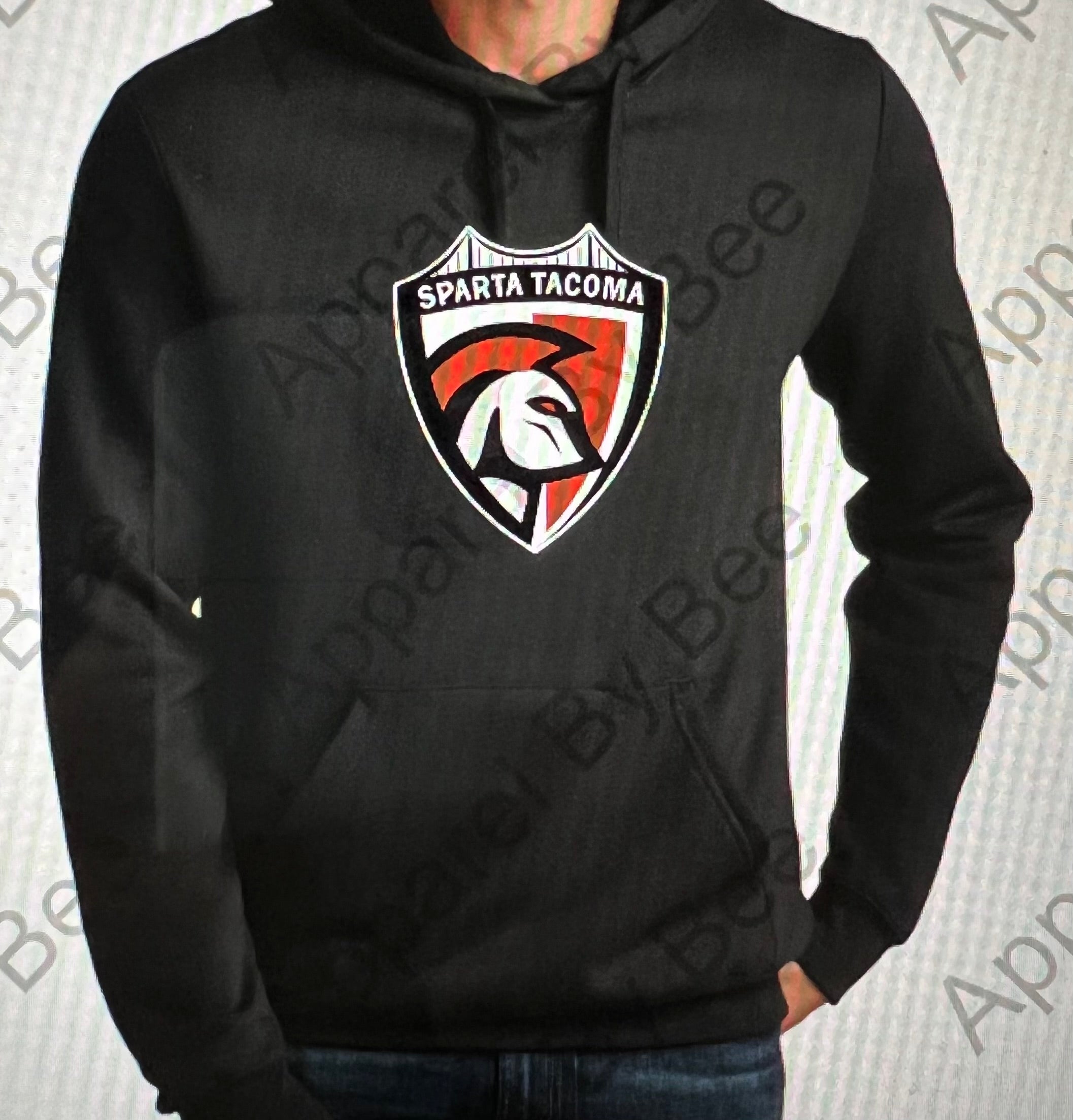 Sparta Tacoma Concert Fleece District Hoodie – Apparel By Bee