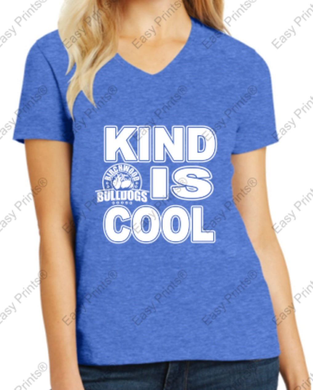 Birchwood "Kind is Cool" Women's V-Neck Tee