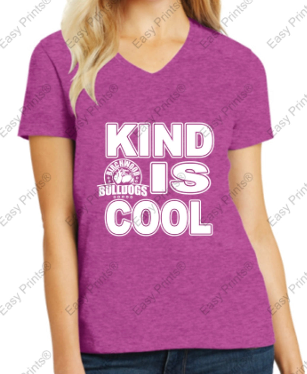 Birchwood "Kind is Cool" Women's V-Neck Tee